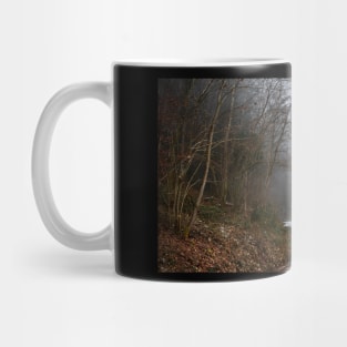 Winter Woodland in Carinthia, Austria Mug